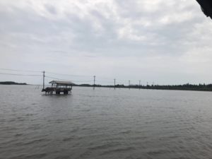 石垣島旅行(二日目) 離島四島ツアーに行ってきました